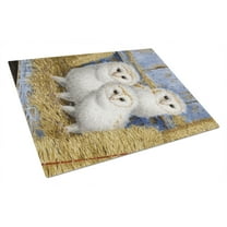 Caroline's Treasures Barn Owl Chicks Glass Cutting Board Large