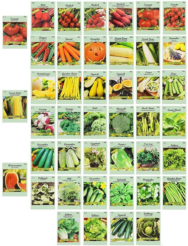 Set of (43) Current Year Assorted Vegetable & Herb Seeds - Create a Deluxe Garden All Seeds are Heirloom - 100% Non-GMO - Heirloom