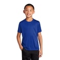 thumbnail image 1 of Port & Company Youth Performance Tee. PC380Y, 1 of 1