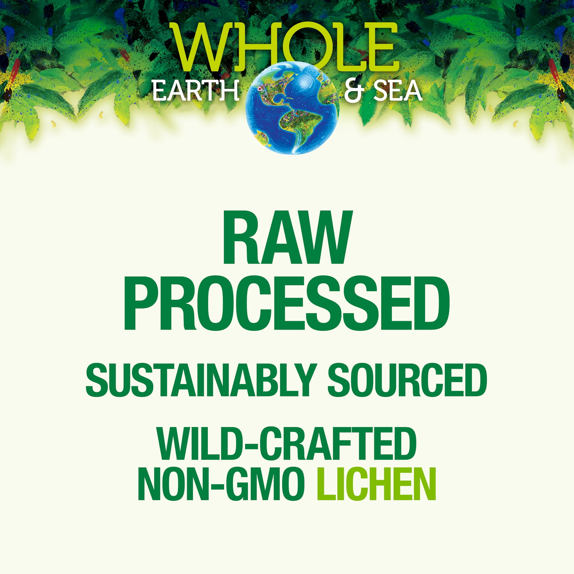 Whole Earth & Sea from Natural Factors, Vitamin D3 5000 IU (125 mcg), Whole Food Supplement, Vegan, 60 Capsules (60 Servings)
