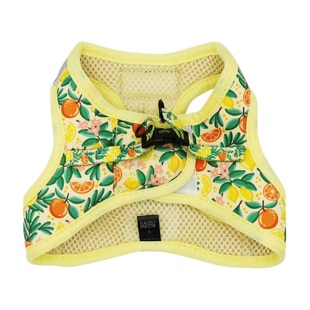 Sassy Meow Cat Step-In Harness Extra Small - Zest Friends
