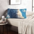 thumbnail image 6 of Balery Clear Sky Blue Cat Bedding Queen Pillow Cases - Envelope Closure - Soft Brushed Microfiber Fabric - Shrinkage and Fade Resistant Pillow Cases-14"x20", 6 of 6