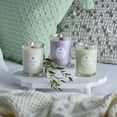 thumbnail image 3 of Root Candles Seeking Balance 6.5 oz Small Spa Candle, Illuminate: Juniper Rosewood, 3 of 3