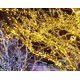 thumbnail image 3 of Linterna LED gypsophila azul 20 metros 200 luces (normativa europea) azul brillar Electrónica, 3 of 5
