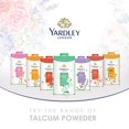 thumbnail image 5 of Yardley Talc Parfumé au Jasmin, 250 g, 5 of 5