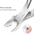thumbnail image 2 of Pince à Cuticules et Poussoir à Cuticules, Coupe-Cuticules en Acier Inoxydable et Outils de Retrait de Cuticules, 2 of 5