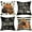 Pumpkin Truck, variant on Halloween Trick or Treat Decorative Throw Pillow Covers 16x16 Set of 4, Spooky Pumpkin Truck Spider Web Bat Porch Patio Outdoor Pillowcase, Polka Dot Stripes Holiday Cushion Case Home Decor