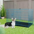 24 Inch Dog Crate for Small Dogs, Folding Metal Wire Crates Dog Kennels