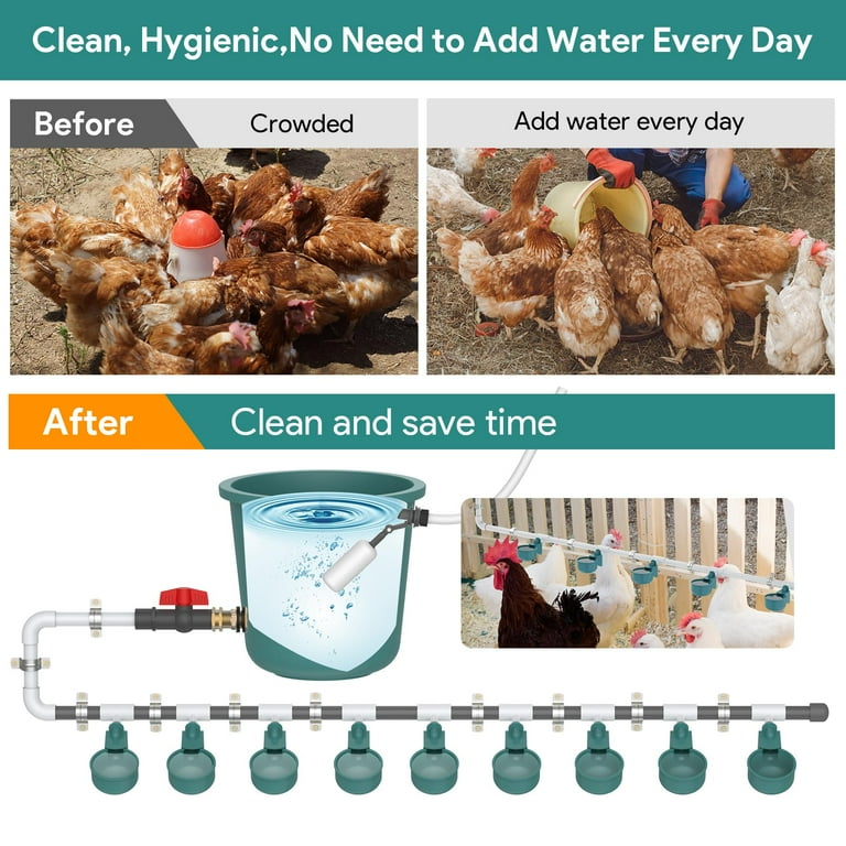 Complete Set Pipeline Automatic Chicken Watering System, 1