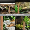 thumbnail image 3 of HIAKDOFT 1Set Wood Climbing Pole for Environmental Adaptation Bearded Dragon Ladder 15.7in, 3 of 8