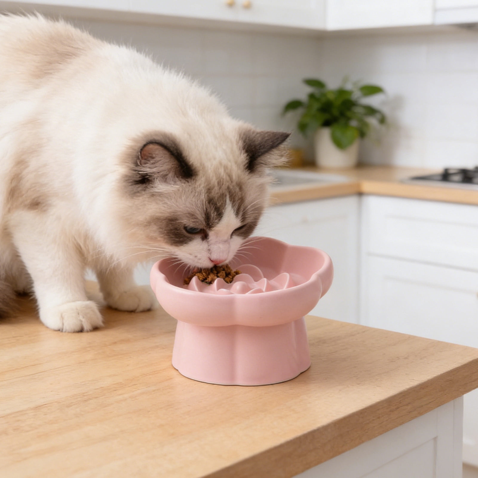 Elevated Pet Bowl, High Foot Ceramic Slow Feeder, Slant Neck Protection Design, Non-Slip Anti-Spill Dish for Kittens Puppies Small Pets Mealtime Comfort and Overeating Control