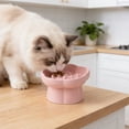 thumbnail image 4 of Comedero de Cerámica Elevado para Perros y Gatos, de Alimentación Lenta – Antiderrames, Antideslizante, con Protección para El Cuello y Diseño Inclinado para Mascotas Pequeñas., 4 of 6