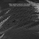 thumbnail image 4 of Saco Dormir Liviano Mumi Duce para Viajar Acampar Blanco, 4 of 9