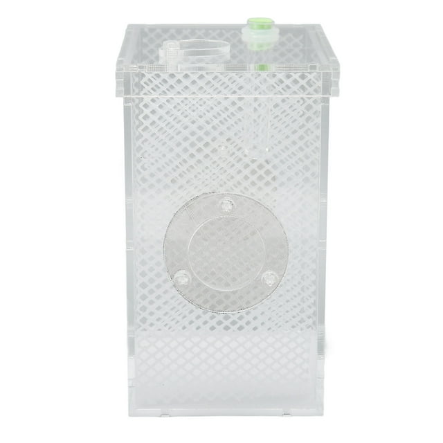 Tanque de recinto para insectos reptiles Bling Bling Mini acrílico de alta transparencia