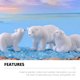 thumbnail image 2 of EeaseMX 9 microadornos de oso polar para paisajes. Preciosas decoraciones de oso polar., 2 of 8