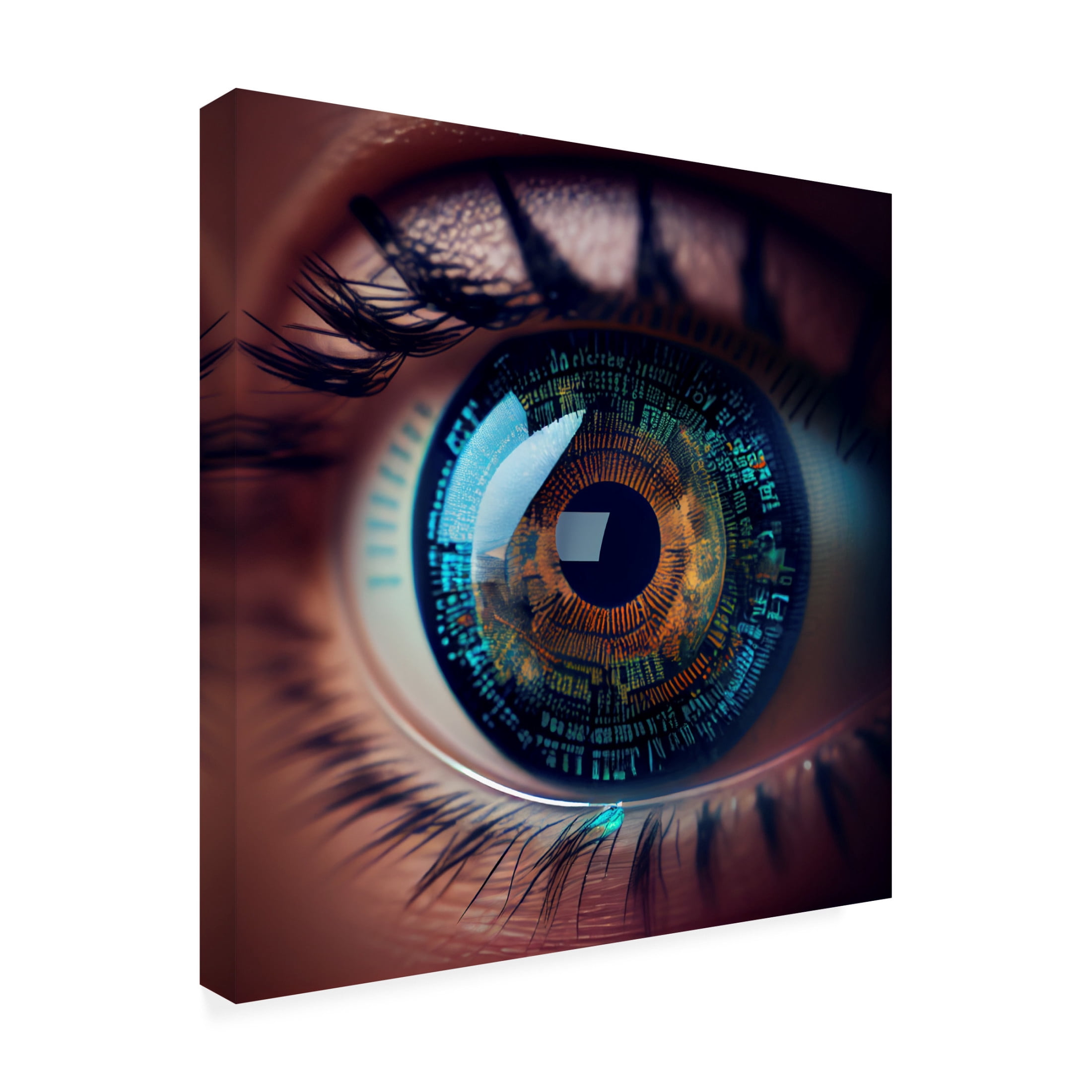 Canvas Wall Art - Sasha 'The Coder' Wall Art for Living Room, Bedroom, or Office Décor by Trademark Fine Art - 24 x 24 Inches