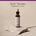 thumbnail image 5 of Bach Original Flower Remedies, Heather - 20 mL Dropper, 5 of 6