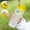N, variant on Guozer Shaker Bottles For Protein Mixes 1PCS 500ML Handspring Mixing Cup Fitness Sports Water Bottle Portable Shaker Cup