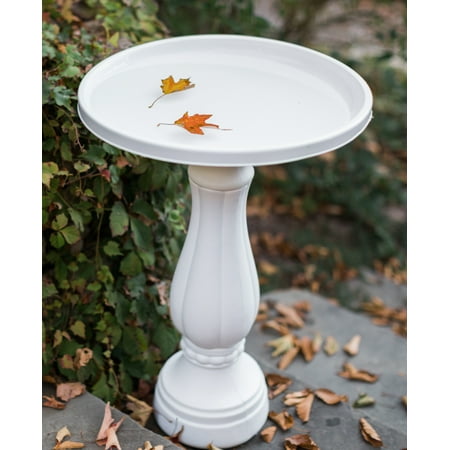 Bloem Promo Bird Bath with Pedestal 25