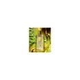 thumbnail image 3 of Perfume Perris Monte Carlo Cedro Di Diamante, 100 ml, 3 of 3