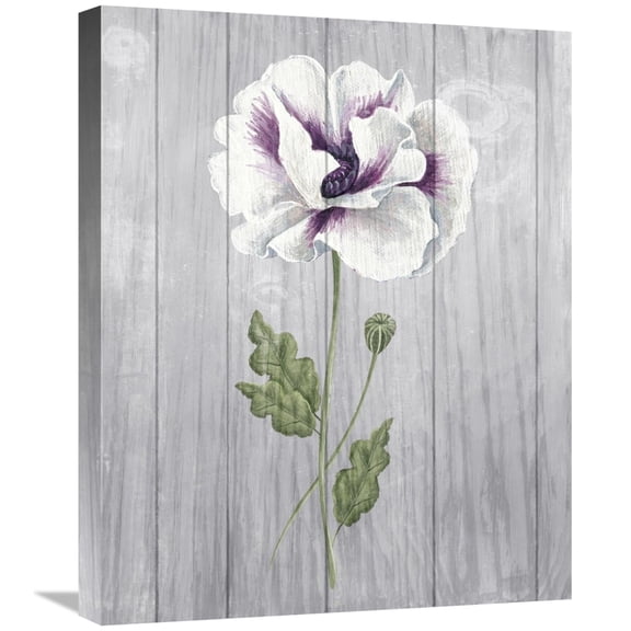 Global Gallery's 'Poppy I' By Elyse DeNeige Stretched Canvas Wall Art