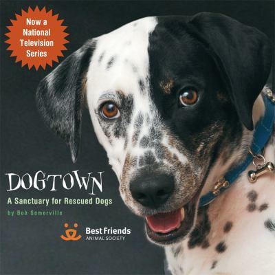 Pre-Owned Dogtown: A Sanctuary for Rescued Dogs (Hardcover) 1416205268 9781416205265
