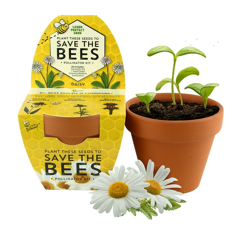 How bees make honey – GROW magazine