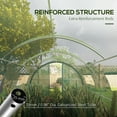 thumbnail image 5 of Outsunny Tunnel Greenhouse w/ Doors and Windows, White, 24.6' x 10' x 6.6', 5 of 10