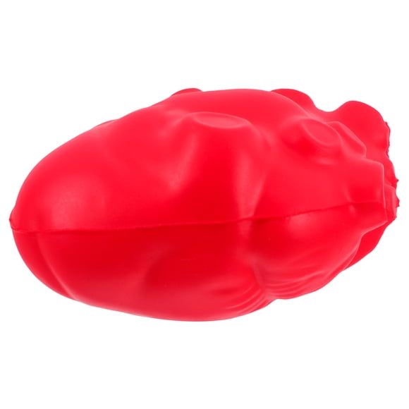VERDANVERSE Anatomy And Physiology Heart Toy Pu Foam Material For Learning In Medical Schools 1Pack