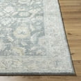 thumbnail image 4 of Hauteloom Yetta Living Room, Bedroom Area Rug - Traditional - High Pile - Peach, Gray, Light Gray - 9'2" x 12', 4 of 9