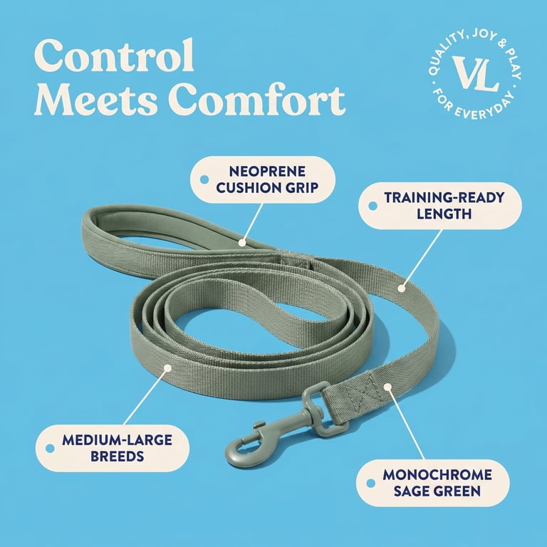 Vibrant Life Neoprene Cushioned Dog Leash for Medium Large Dogs