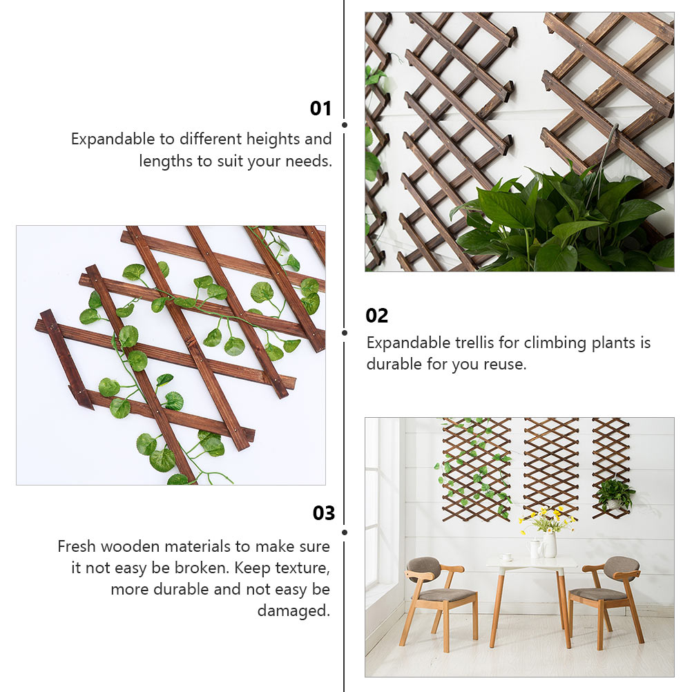 Expandable Garden Trellis Plant Support Willow Fence Panel for Climbing