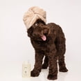 thumbnail image 4 of OUAI Fur BÃ©bÃ© Pet Shampoo - Cat & Dog Shampoo for Gentle Cleansing, Hydration & Shine - Vegan & Cruelty-Free Pet Supplies with Aloe Vera & Panthenol - Mercer Street S, 4 of 7