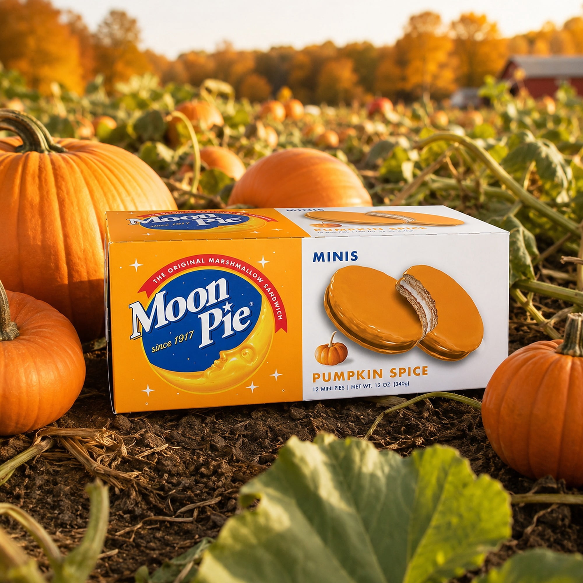 MoonPie Mini Pumpkin Spice Marshmallow Sandwiches, 12 Count, 12 oz – Seasonal Snack Cakes