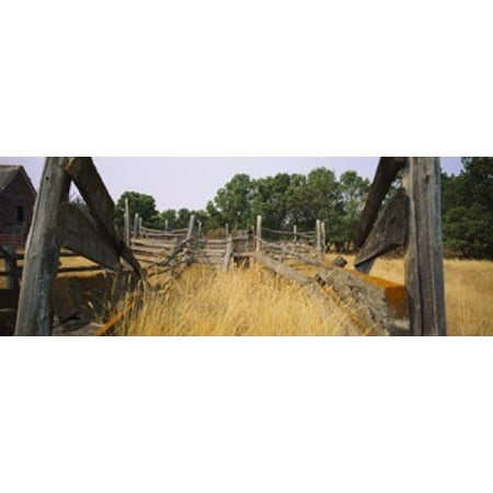 Ranch cattle chute in a field North Dakota USA Stretched Canvas - Panoramic Images (36 x