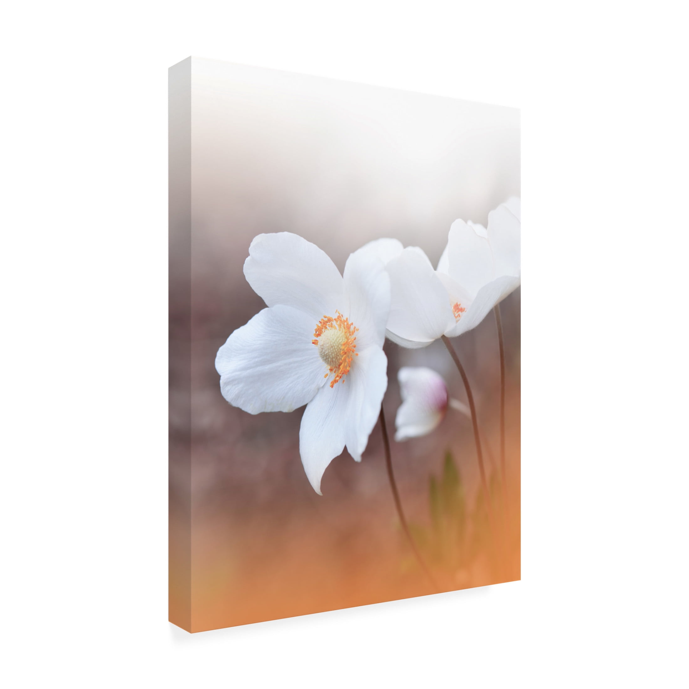 Trademark Fine Art Juliana Nan The Sound Of Innocence Canvas Wall Art