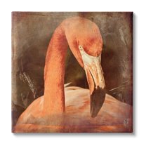 Stupell Industries Vintage Flamingo Animal Portrait Animals & Insects Painting Gallery Wrapped Canvas Print Wall Art