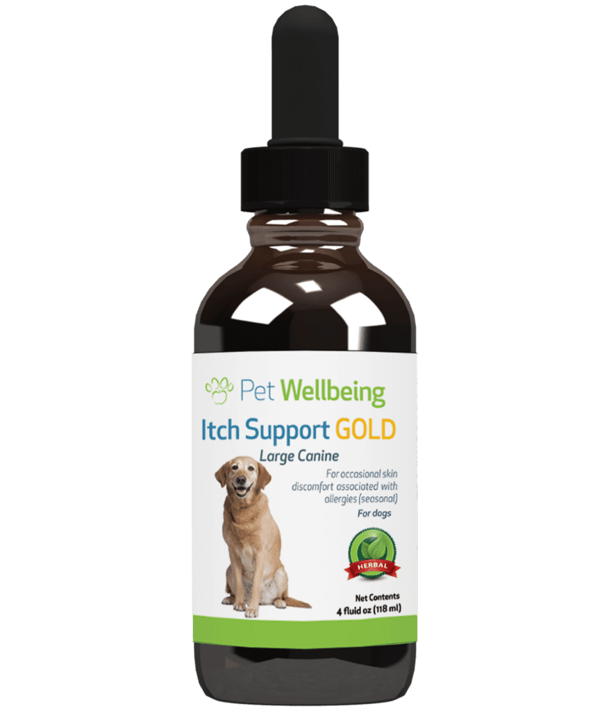 Pet Wellbeing Itch Support Gold for Dogs Natural Skin Allergy
