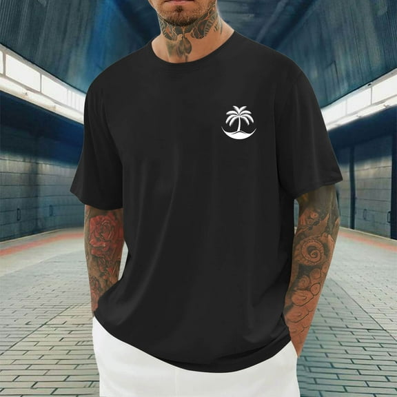 Elvqul Short Sleeve T-Shirts for Men T Shirts Black Athletic Pullover Gym Summer Daily Mens Shirts Crew Neck