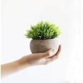 thumbnail image 3 of Hirsch Plantas falsas para decoración del baño/oficina del hogar, pequeñas plantas artificiales de imitación para decoración del hogar (plantas en maceta), 2 uds., 3 of 5