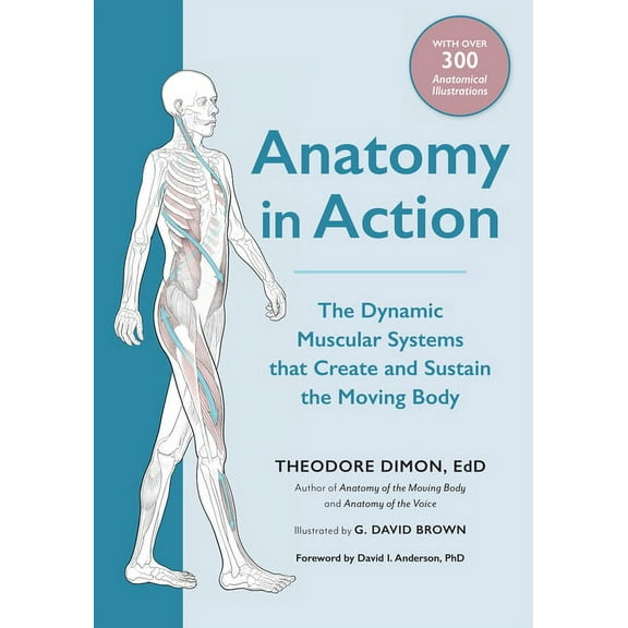 Anatomy in Action: The Dynamic Muscular Systems That Create and Sustain the Moving Body, (Paperback)