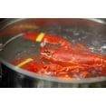 thumbnail image 3 of AirFly Crab, Lobster Claw Rubber Bands & Binder, Protect Lobsters & Crabs, Cook Safe FDA-Compliant Silicone, 100 pcs (Assorted Color), 3 of 8