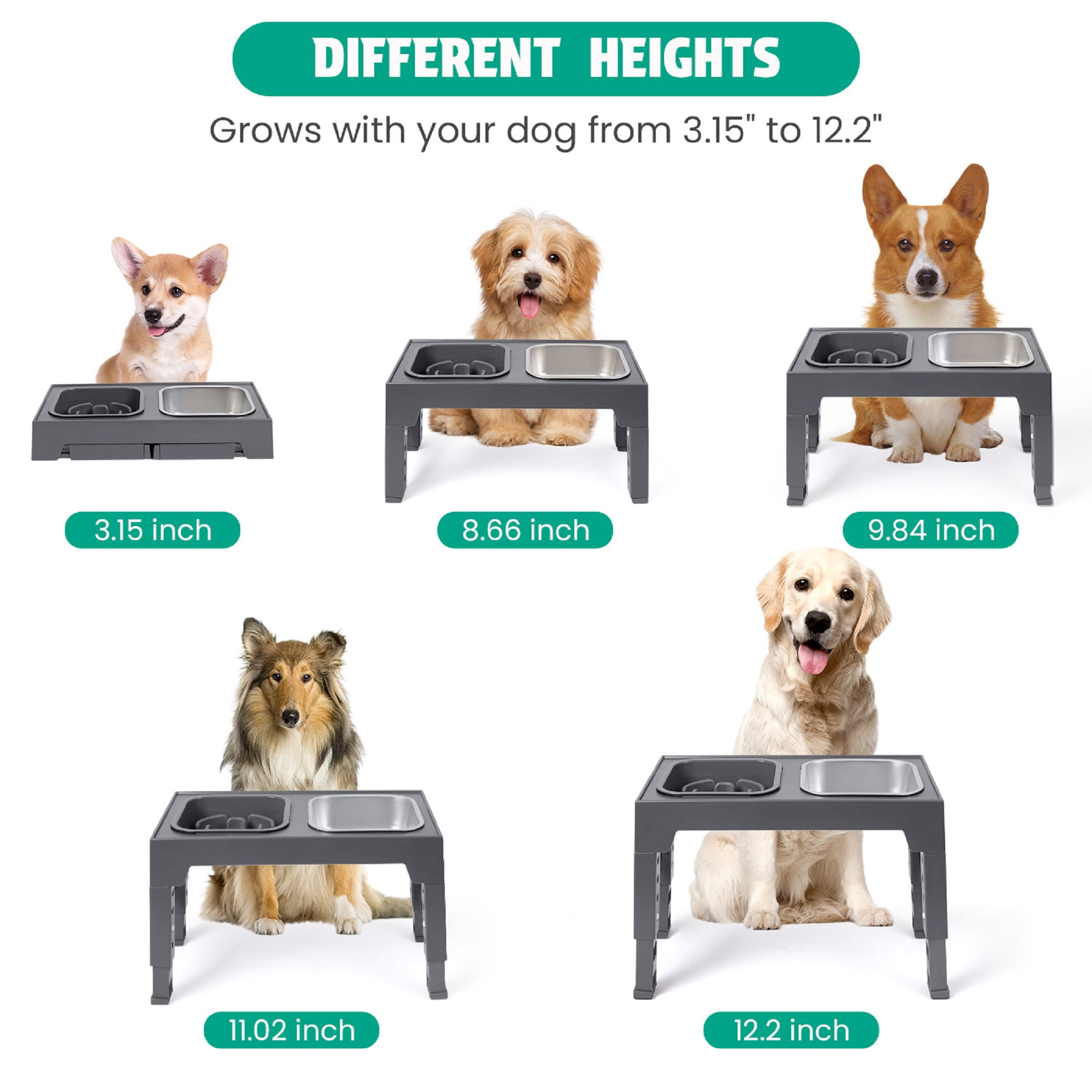 Elevated Dog Bowls with 2 Stainless Steel Dog Bowls, Raised Dog Bowl Adjusts to 5 Heights for Small Medium and Large Dogs,Gray