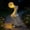 Grey Goose, variant on Garden Statue Turtle Green Solar LED Succulent Outdoor Decor