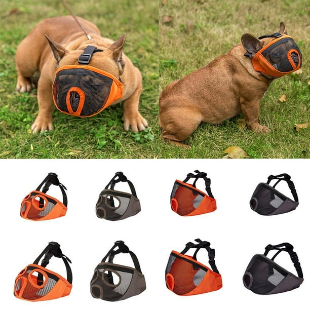 Muzzle for top pug nosed breeds