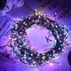thumbnail image 3 of Guirnalda de luces LED con control remoto y alambre de cobre, con forma de petardos, para decoración de bodas, fiestas y habitaciones de Navidad, 3 of 5