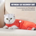 thumbnail image 6 of Bobasndm Cat Recovery Suit After Surgery for Female Male Pet Surgical Pajamas Long Sleeve Prevent Shedding Recovery Snugly Suit%26E Collar Alternative Onsies for Cats, 6 of 9