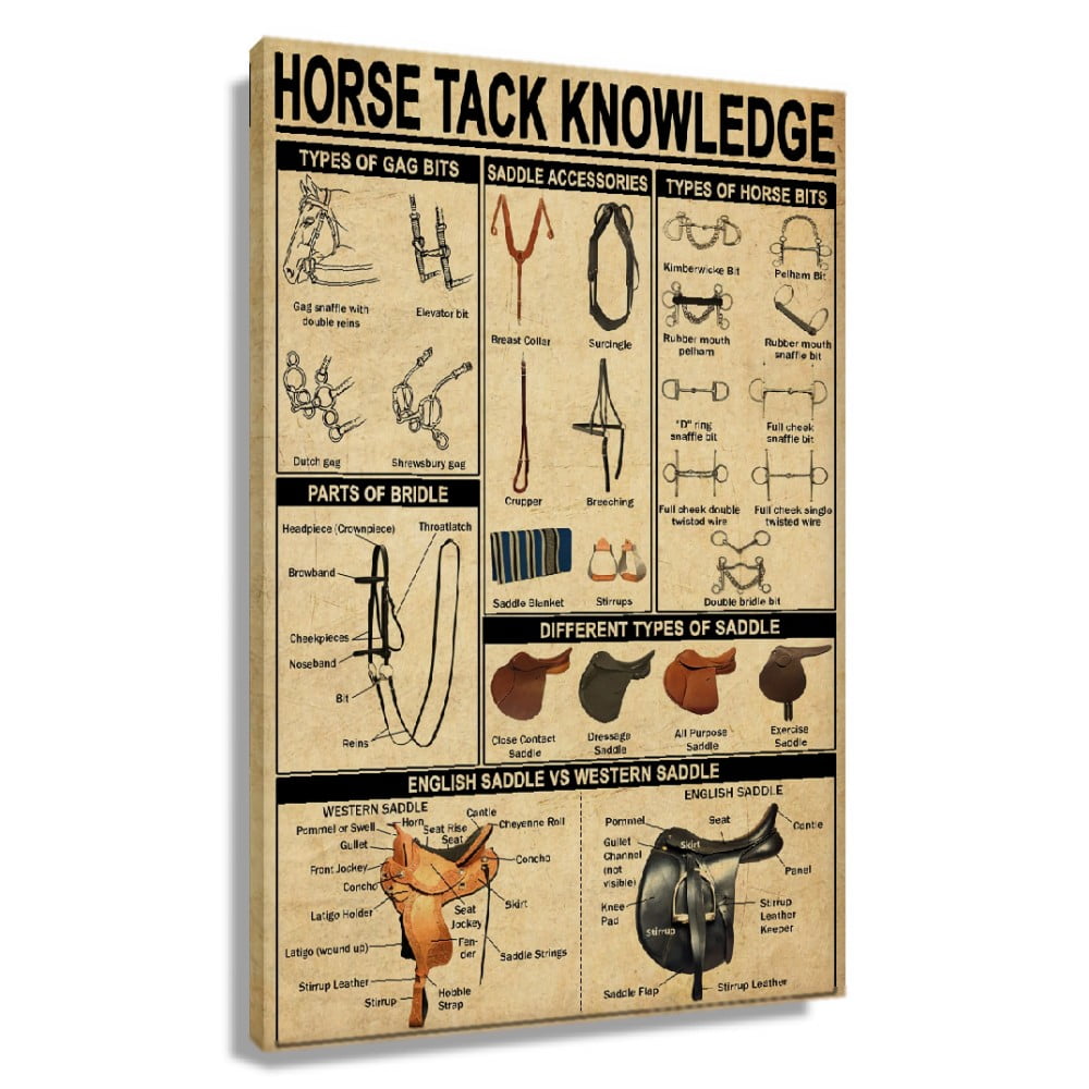 Horse Tack Knowledge Poster Christmas Decor Painting Canvas Picture