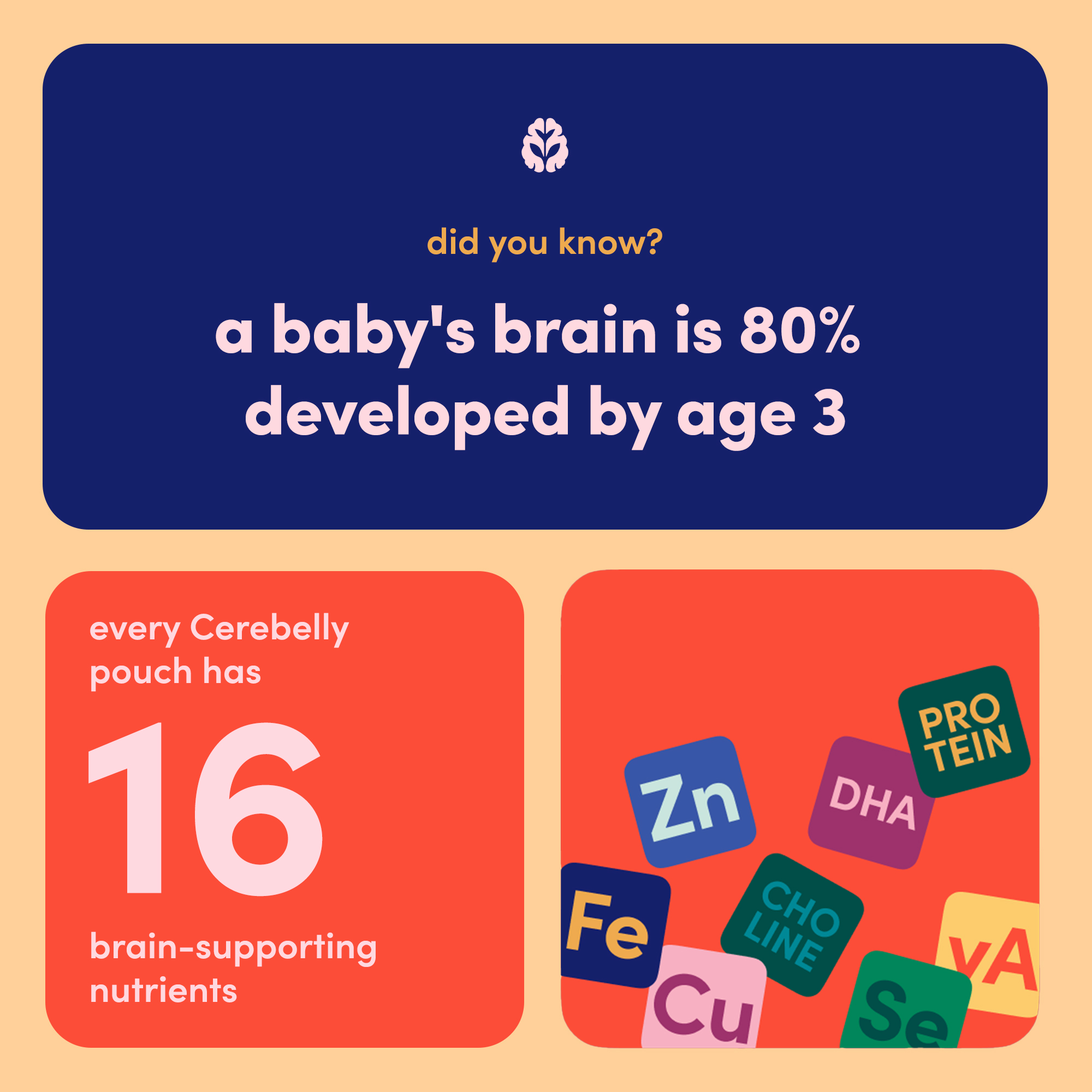 Cerebelly Organic Baby Food, Sweet Potato Pinto Bean Chicken Broth with Cumin, 4 oz Puree Toddler Pouches, 6 Pack