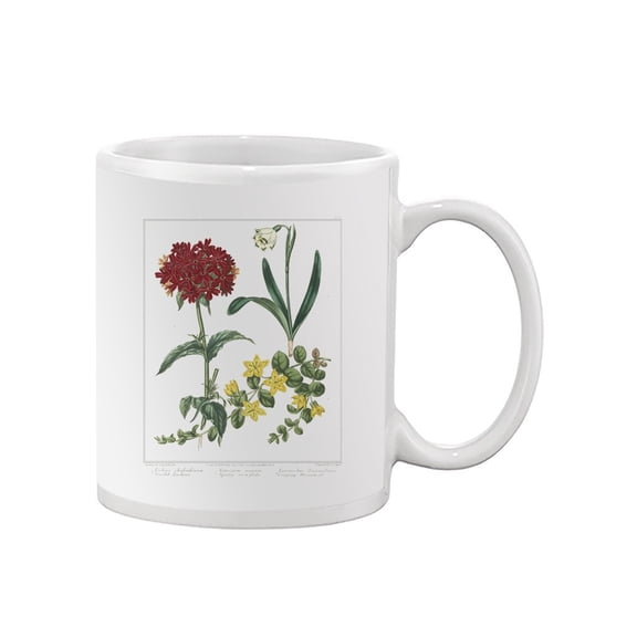 Spring Delight Mug - Sydenham Edwards Designs,